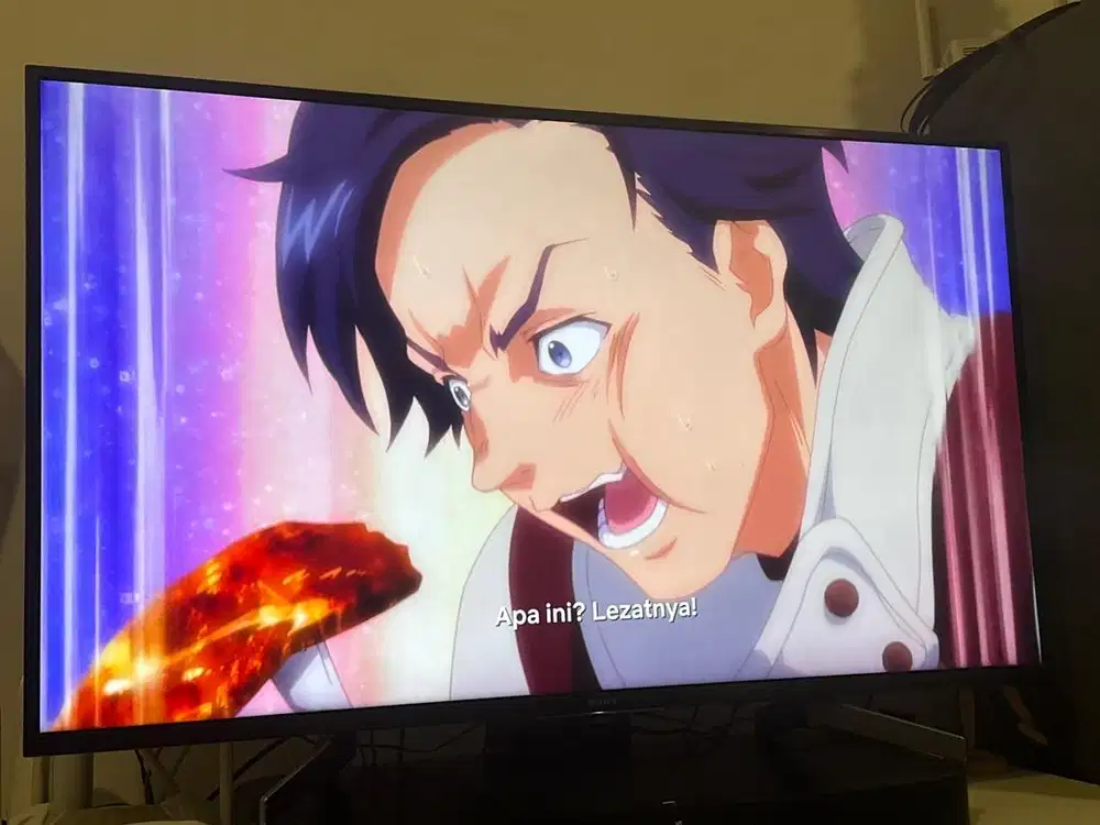 Sony Bravia 55 4K