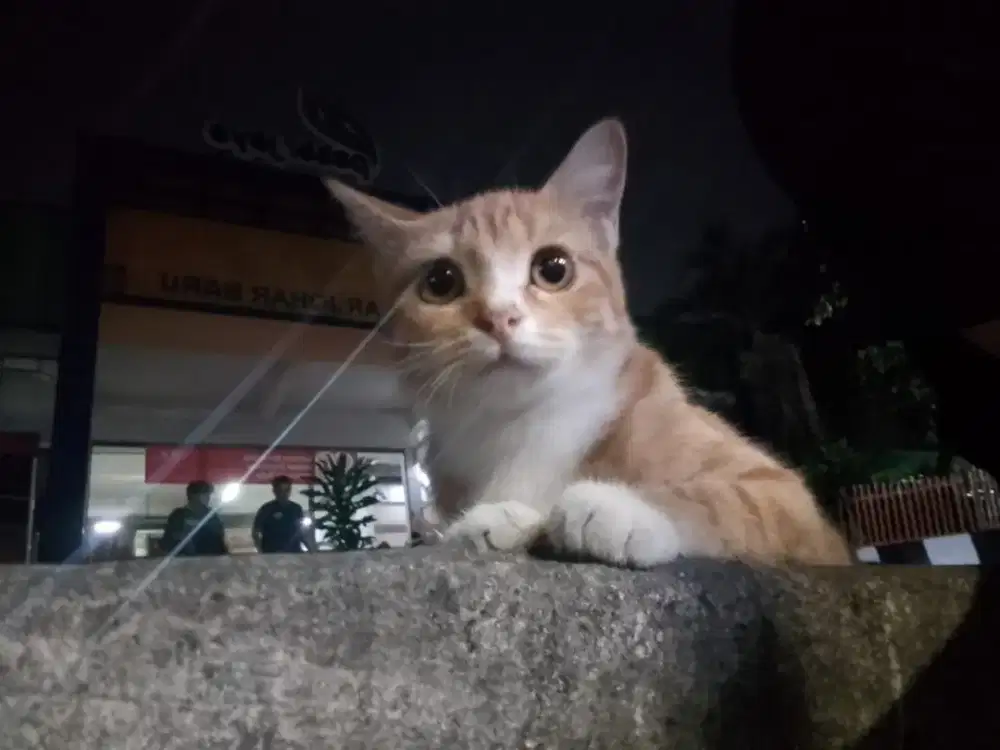 Sedang mencari pekerjaan