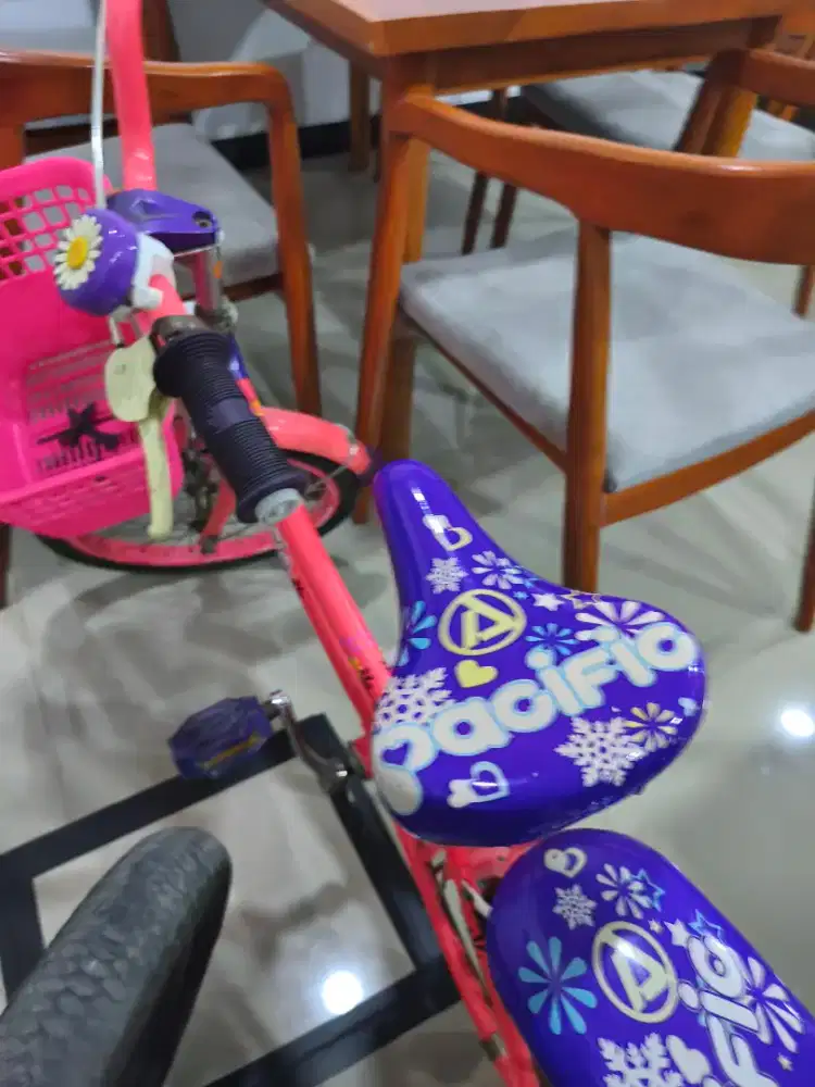Sepeda merk pacifik