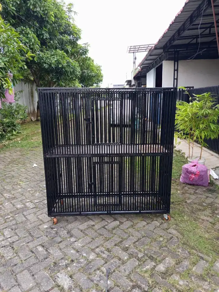 Kandang anjing atau kucing baru siram cat minyak