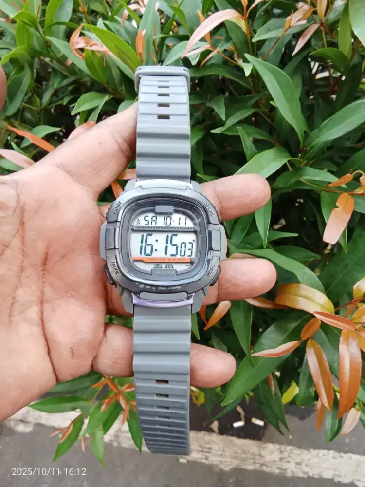 Jam timex original