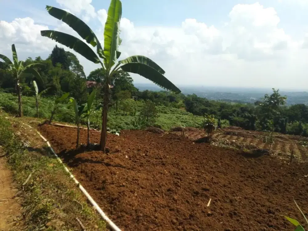 Dijual Tanah kavling siap bangun seluas 1,2 ha di Raya Cijayanti- Sentul