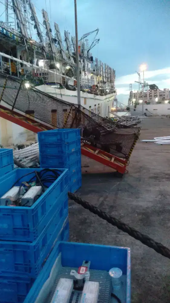 JOB KAPAL IKAN/CUMI CHINA