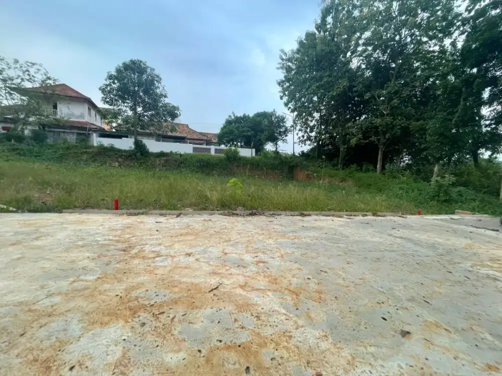 Tanah Cocok Buat Kampus Income jangka panjang