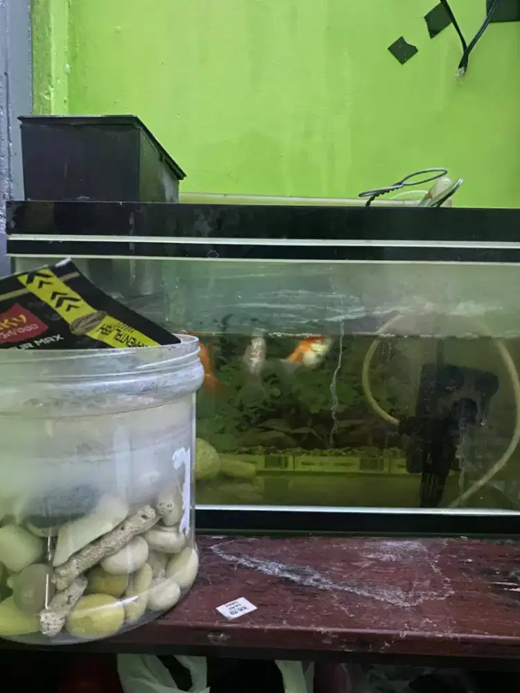 Aquarium fullset seperti di foto