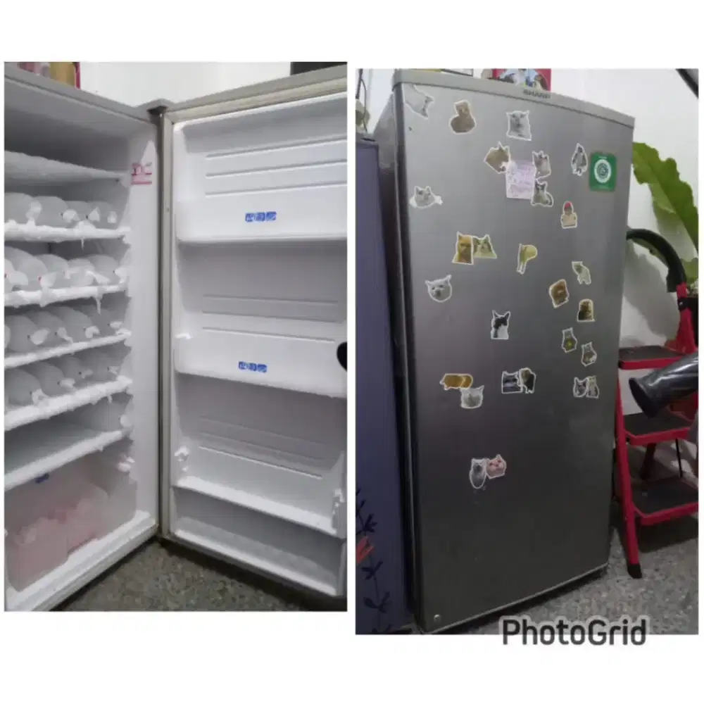 Freezer SHARP 6 rak cepat beku
