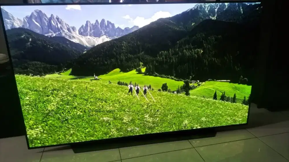 LG 65 INC OLED CXPTA HDR4K