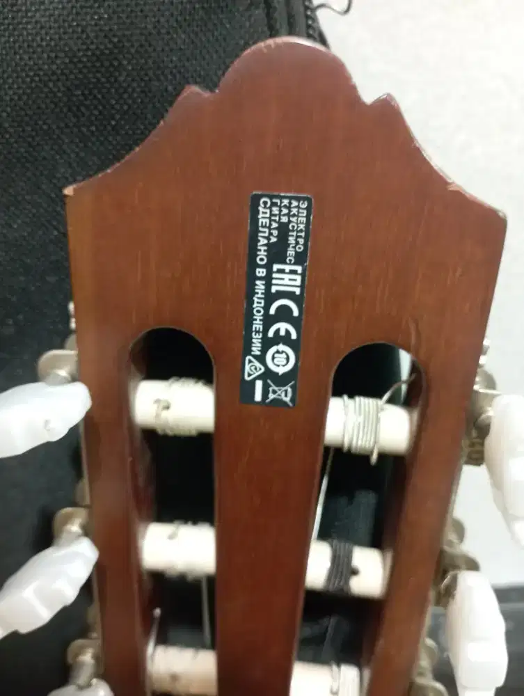 Guitar Akustik CGX102