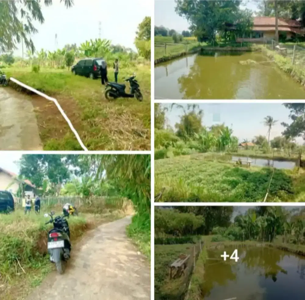 Jual tanah dan kolam ikan Banjaran