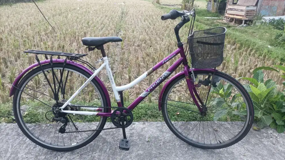 Sepeda keranjang phoenix siap gowes