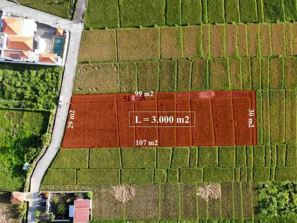 jual tanah di kelating 30 are harga 250/ are dekat htl soori bali