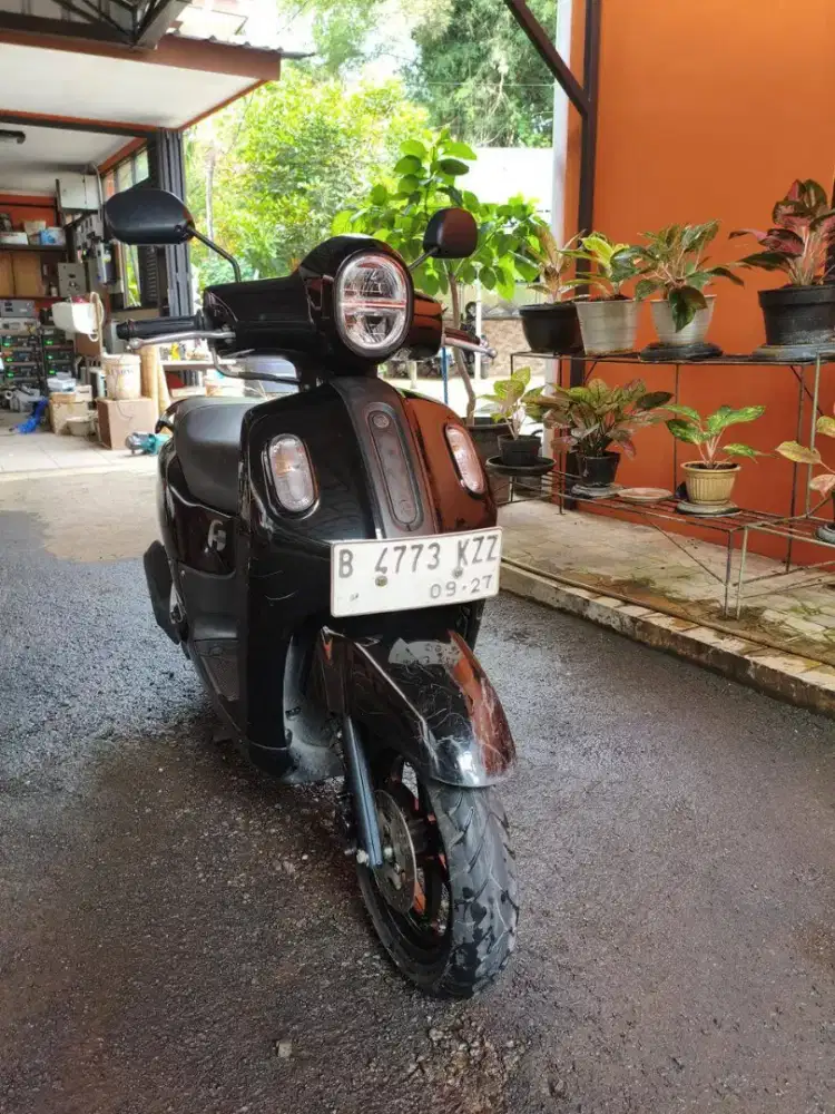 Yamaha fazio 2022