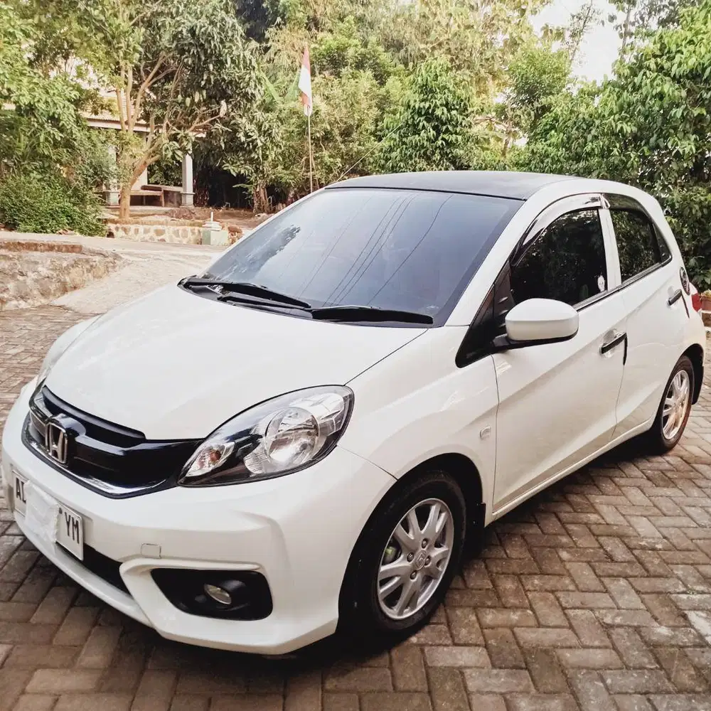 Brio E 2017 Manual