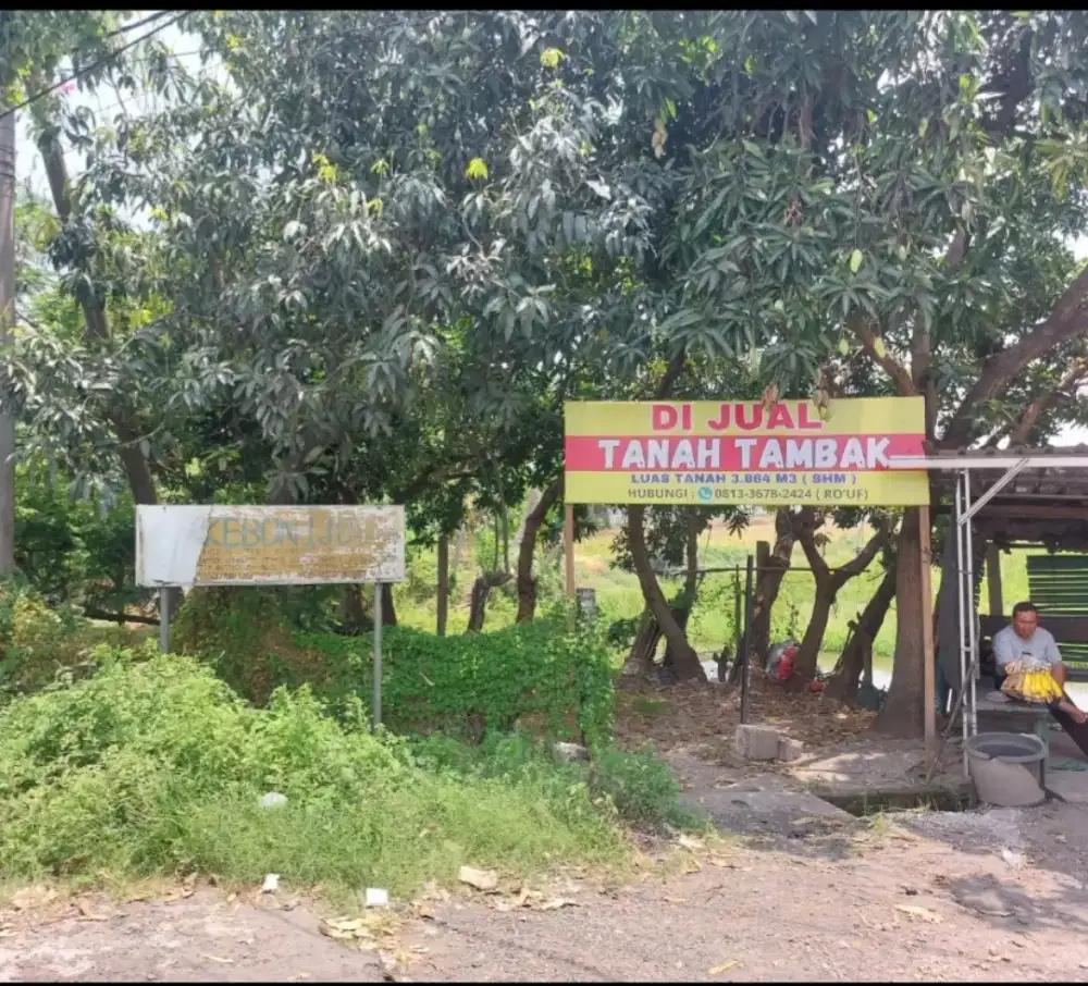 Jual tanah tambak