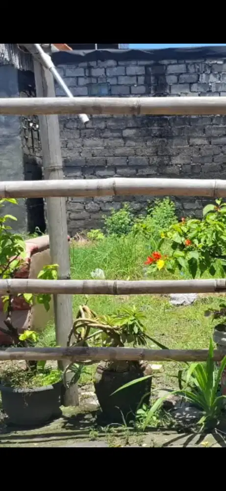 Di jual tanah jalan Pulau Moyo, Pedungan , DPS, Bali