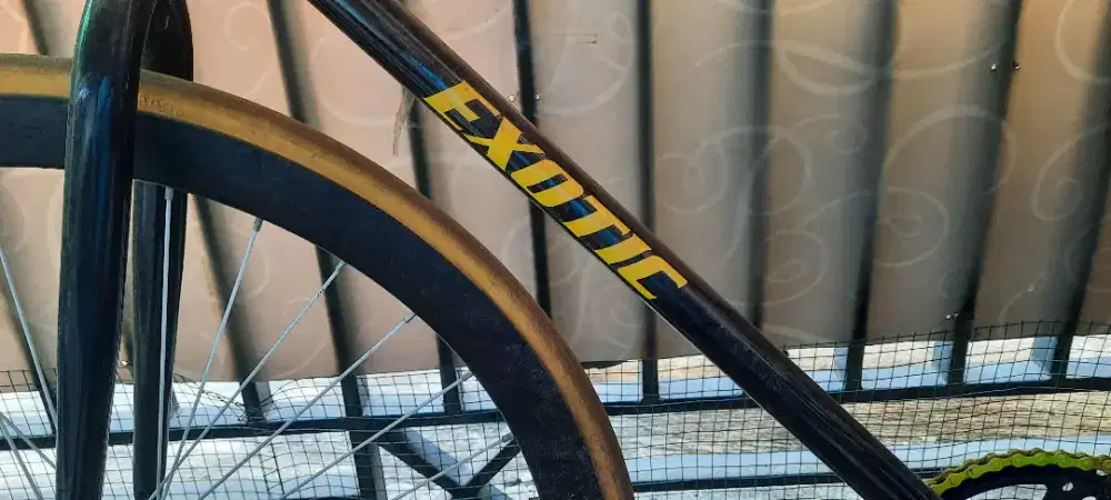SEPEDA FIXIE EXOTIC 2708 GR
