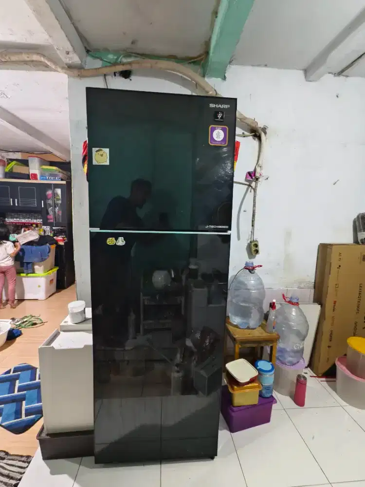 Sharp PlasmaCluster inverter