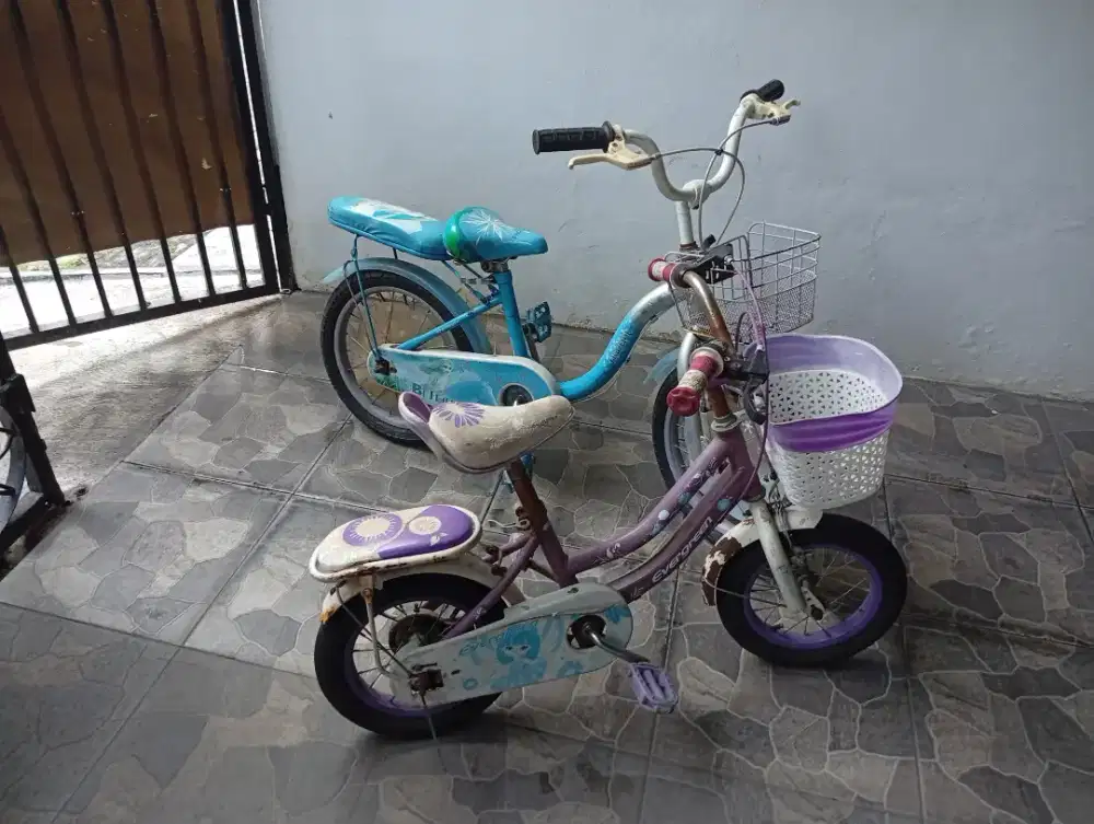 SEPEDA EVERGREEN anak perempuan