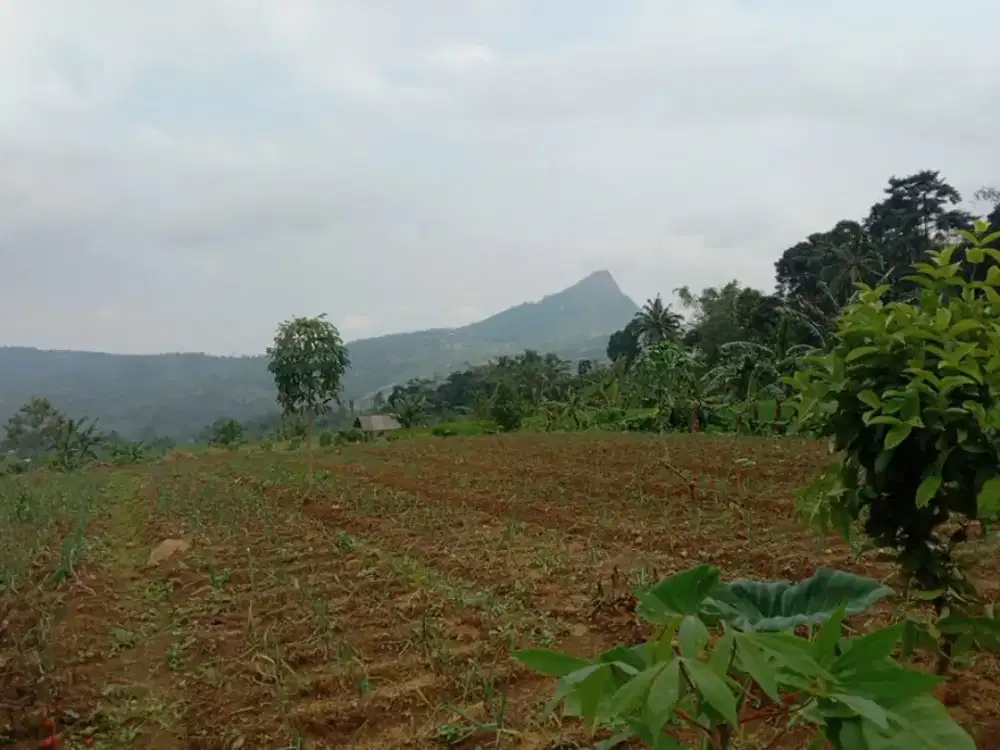 Dijual tanah view gunung batu