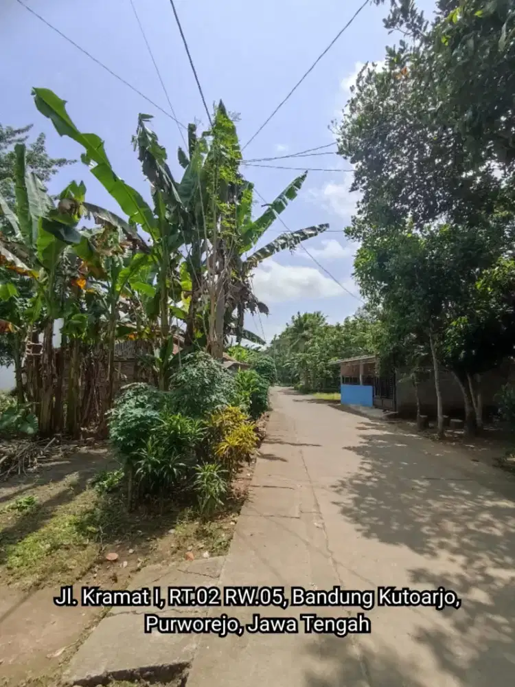 Di jual Tanah pekarangan pinggir Jalan