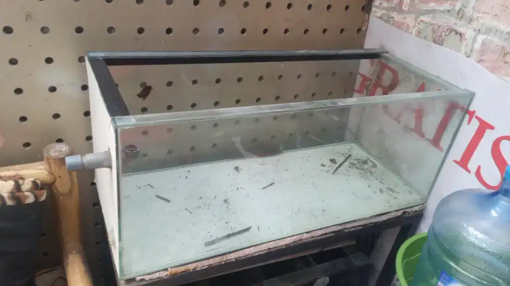 Akuarium bekas arwana