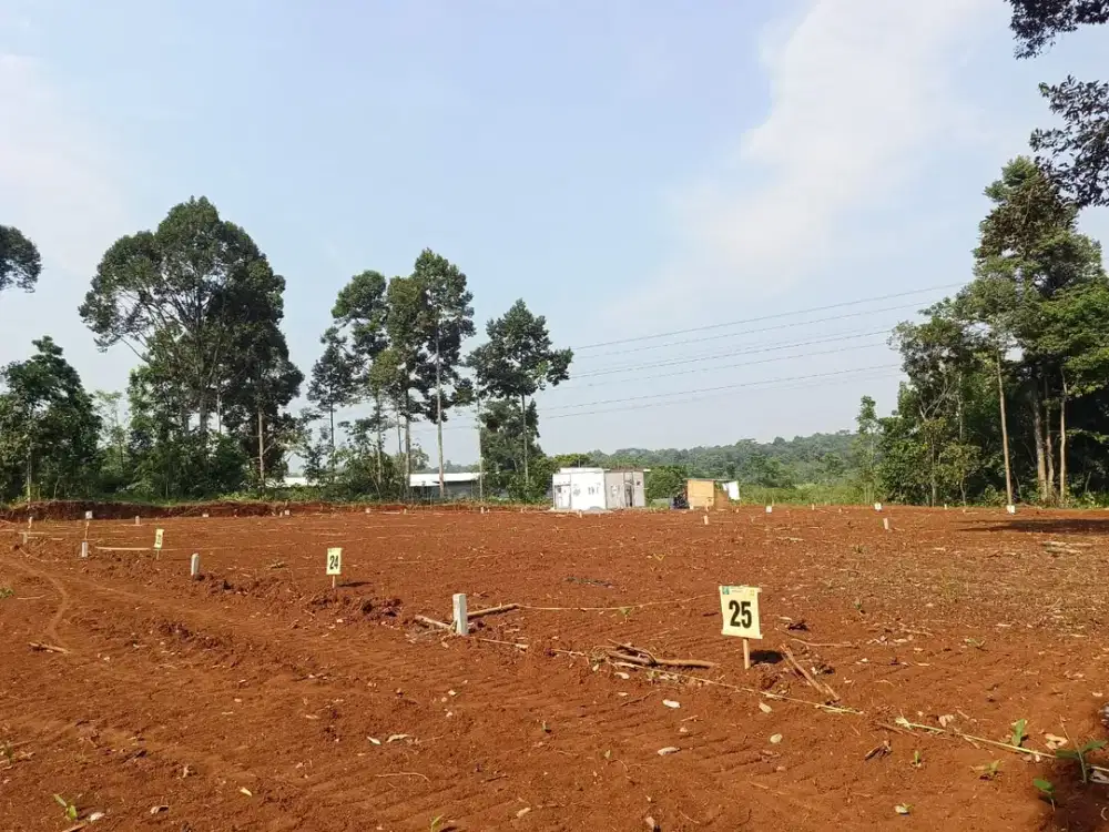 Tanah murah di gunungpati lokasi cepoko