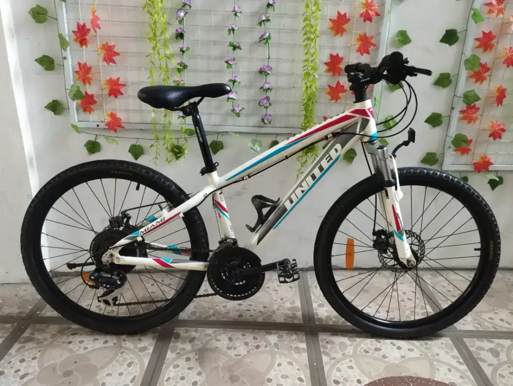 Sepeda anak MTB United Miami alloy ring 24 bekas