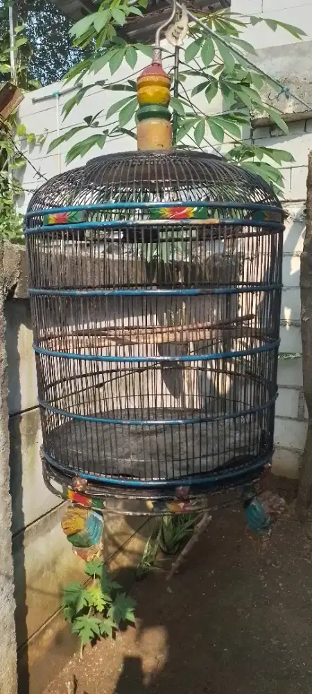 Jual sangkar murah..