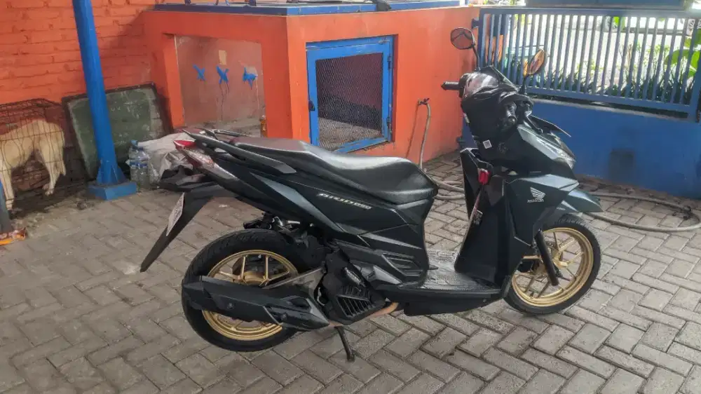 Vario 150 gold mulus