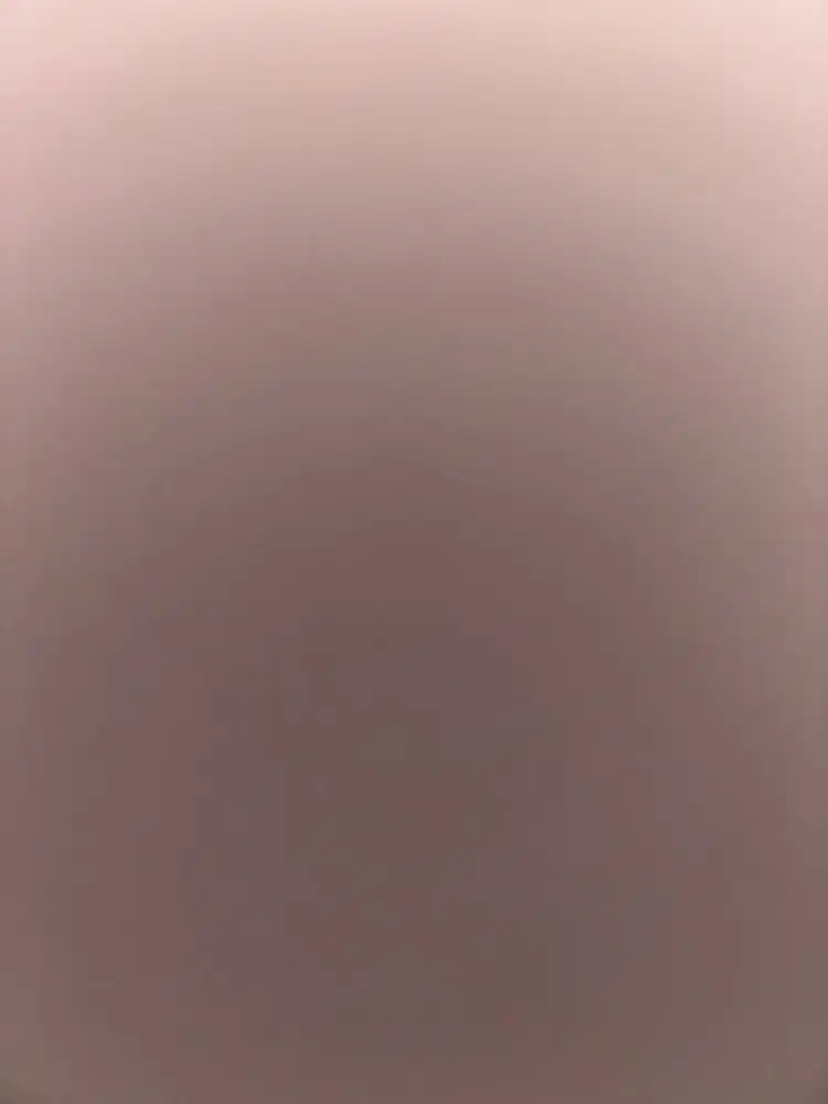 Live Host Non Hijab