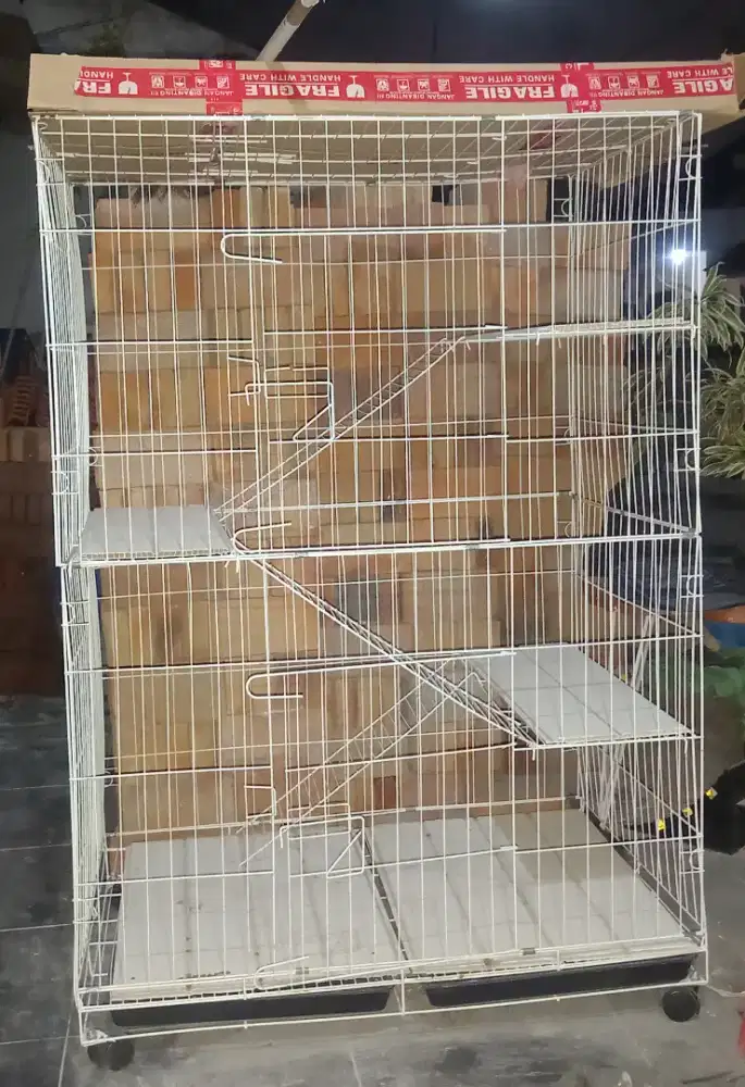 Kandang kucing bersih