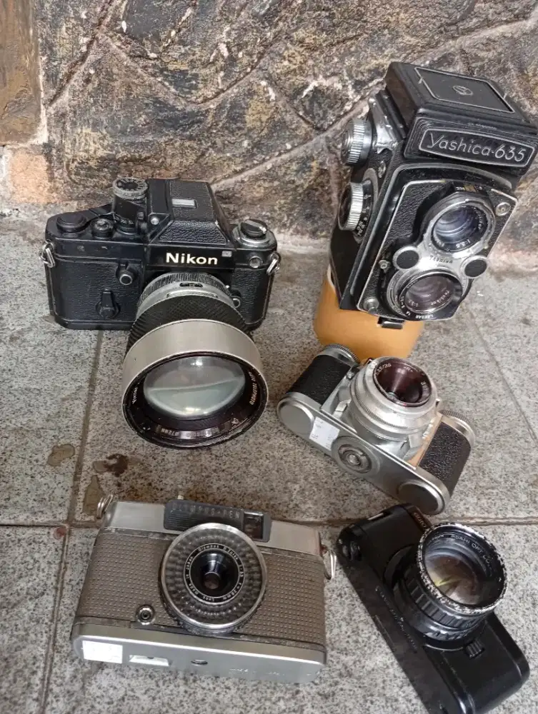 Kamera analog byk pilihan