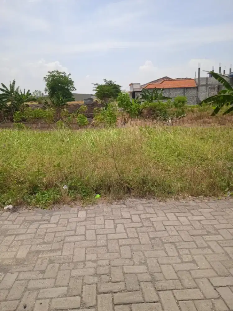 jual kaplingan terbaru