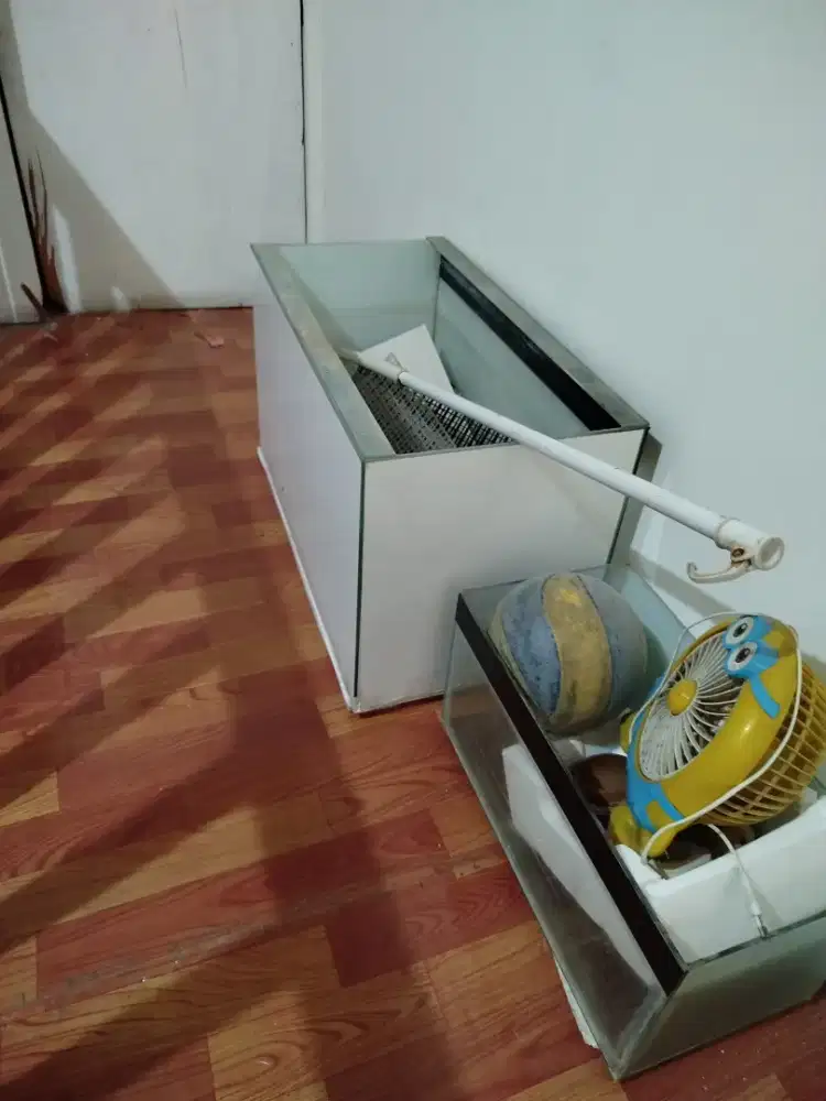 aquariu ikan hias
