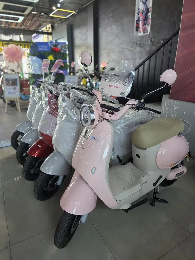 PASIFIC SPLENDID 5.0