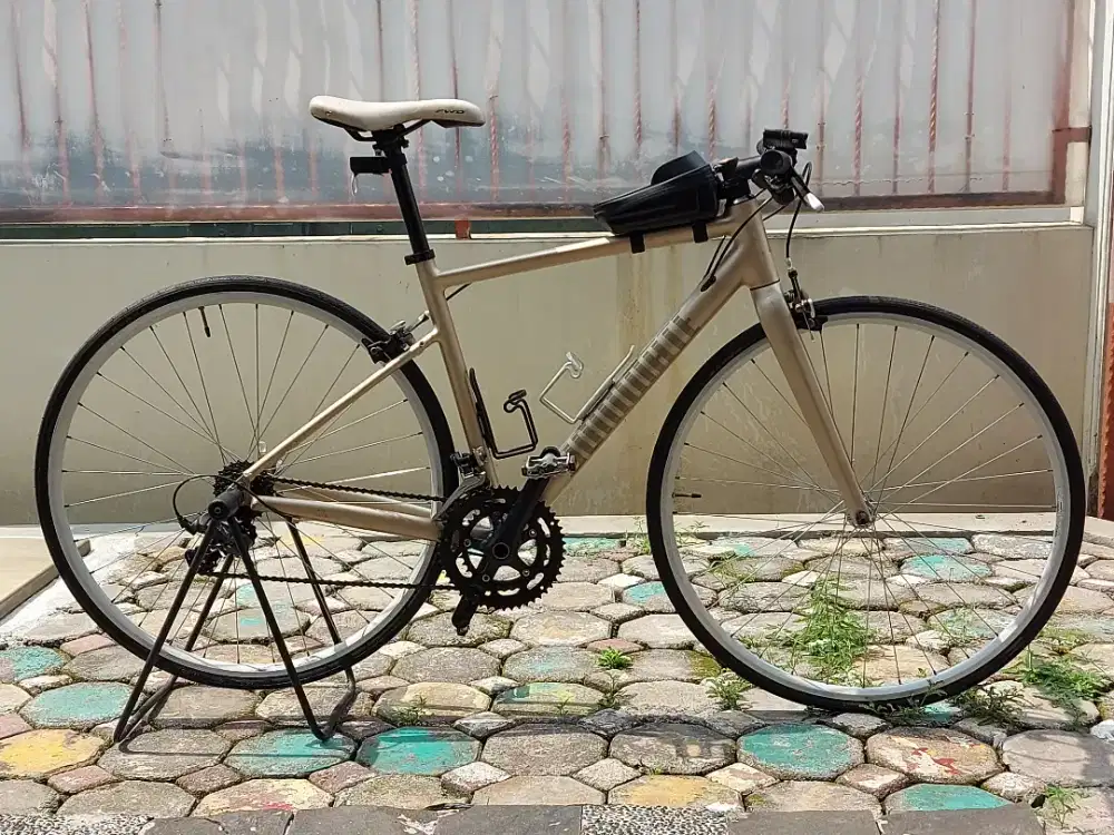 Sepeda Hybrid Dominate RR