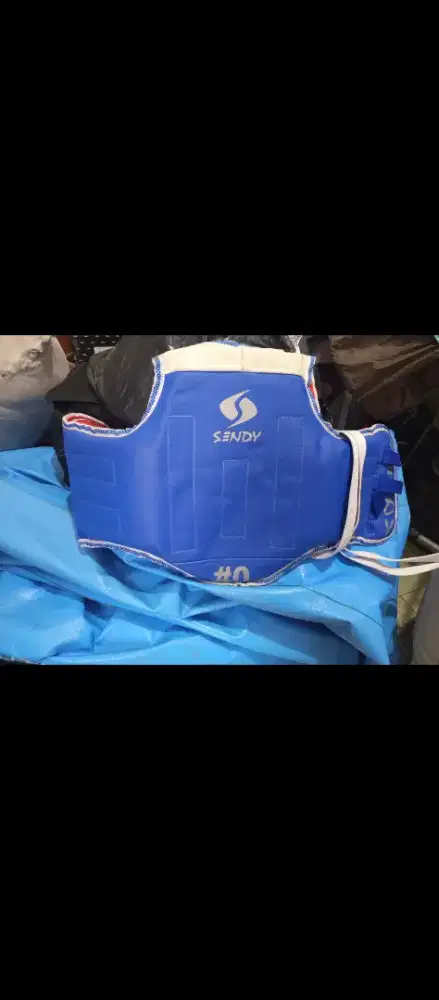 Body protector taekwondo