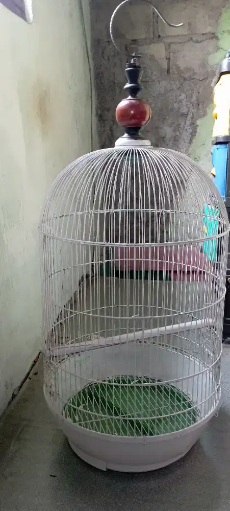 Kandang Burung Kapsul jumbo