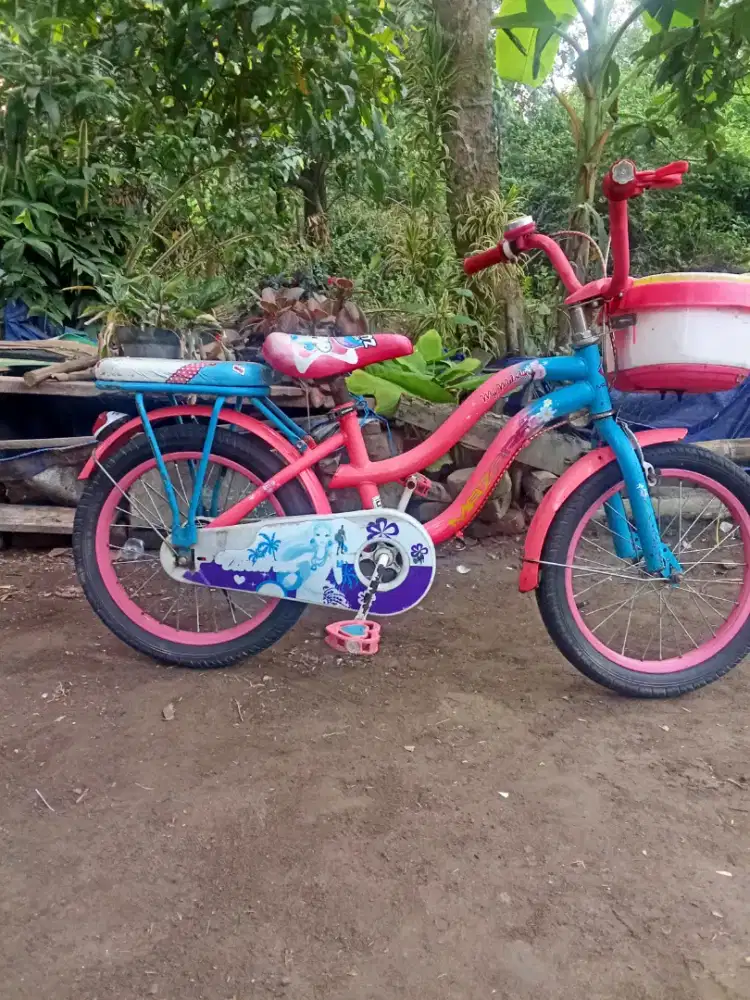 Mini 16 mazara siap pakai