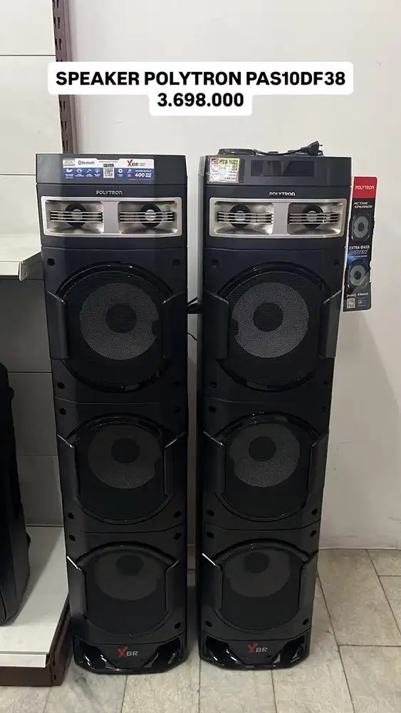 SPEAKER POLYTRON PAS10DF38