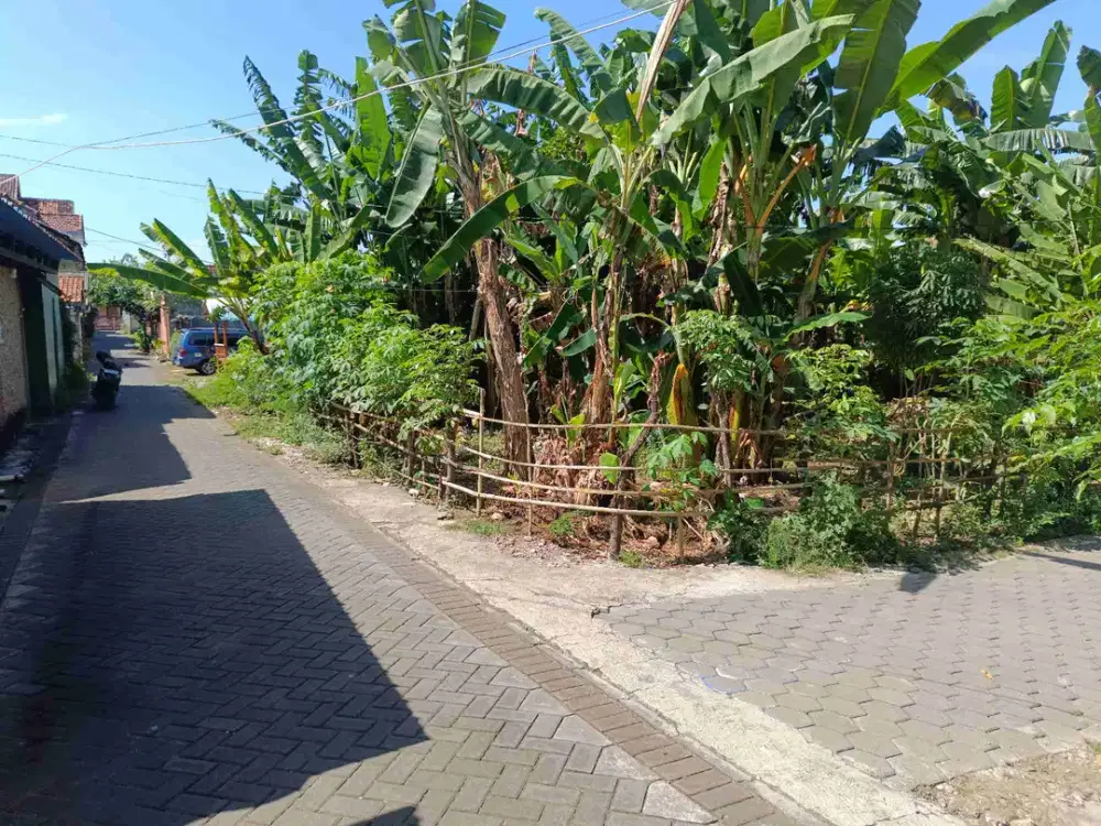 tanah pinggir jalan segobang licin banyuwangi