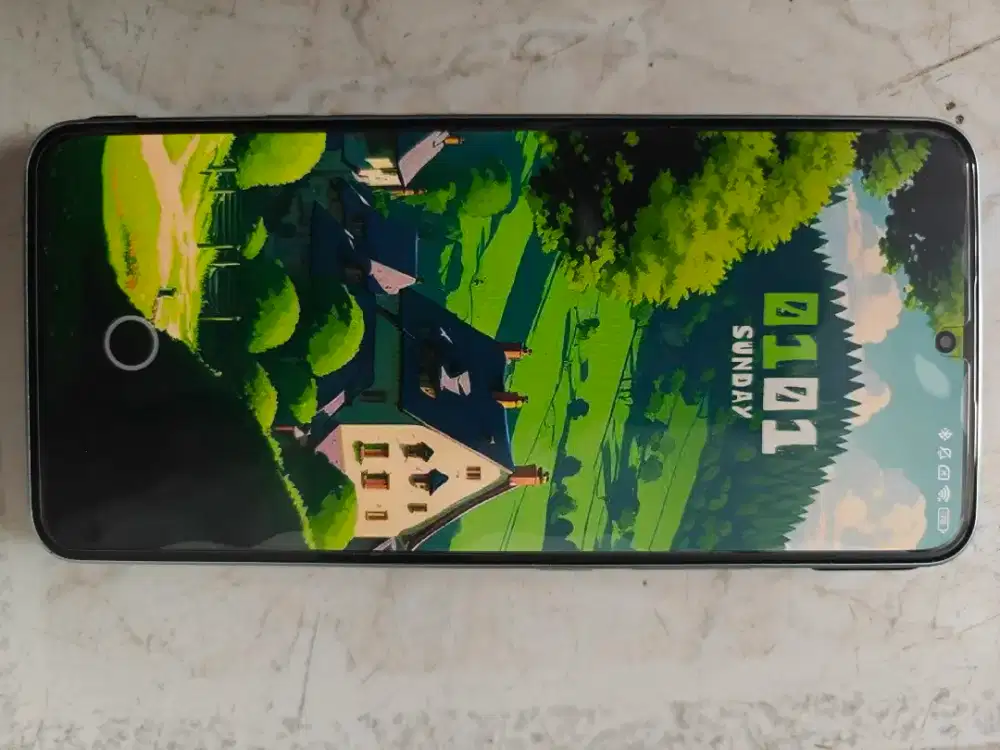 Xiaomi 13T 12/256