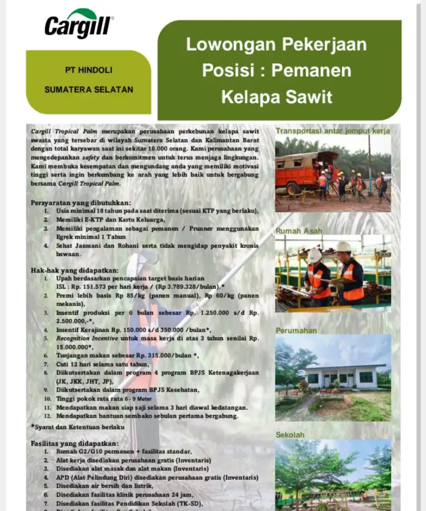 DIBUTUHKAN TENAGA KERJA PEMANEN DI PERKEBUNAN