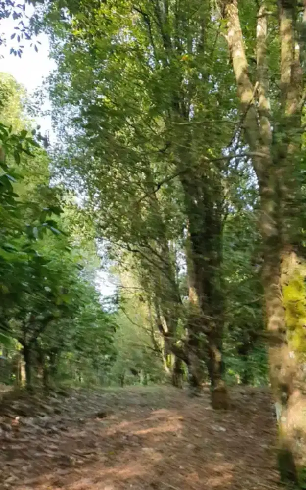 Dibutuhkan tenaga SMK Pertanian