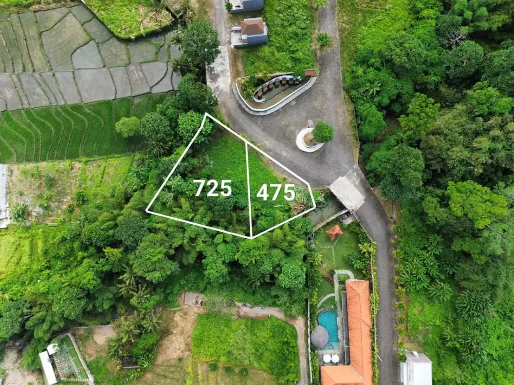 Tanah Los Sungai View Jungle pantai kedungu Tabanan