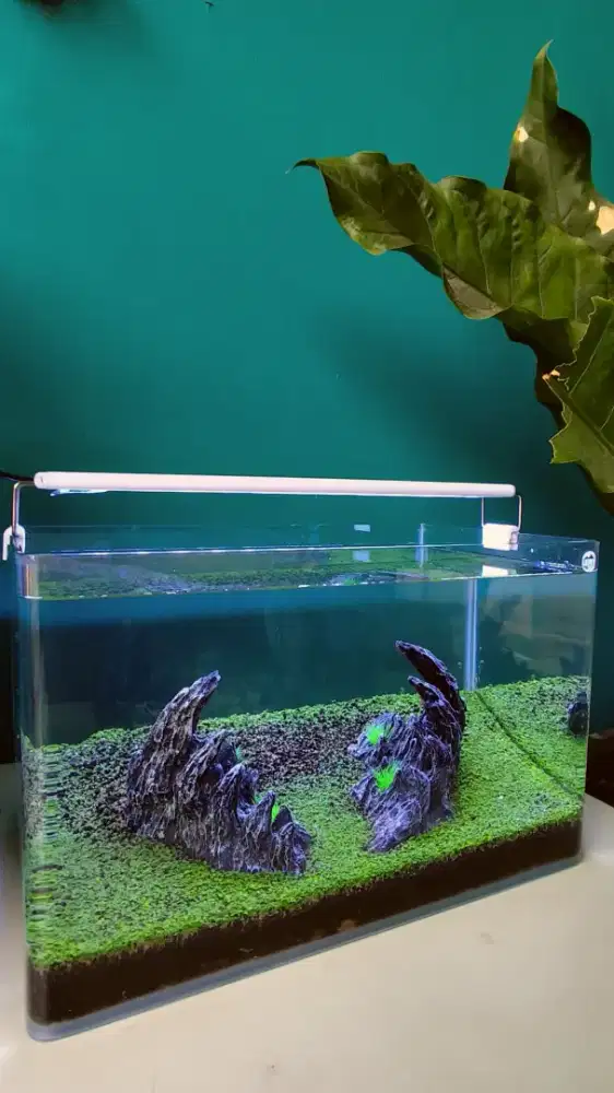 Jual aquascape 40x24x25
