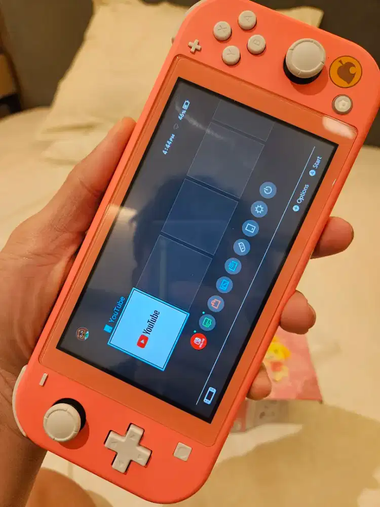 Nintendo switch lite 2 minggu pakai
