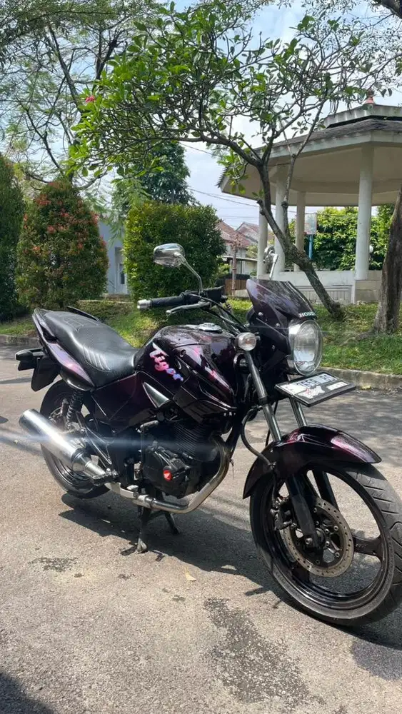 TIGER REVO 2011