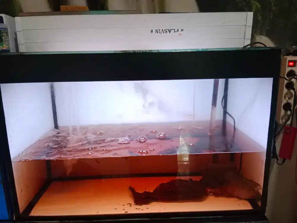 aquarium 70×35×45 full set