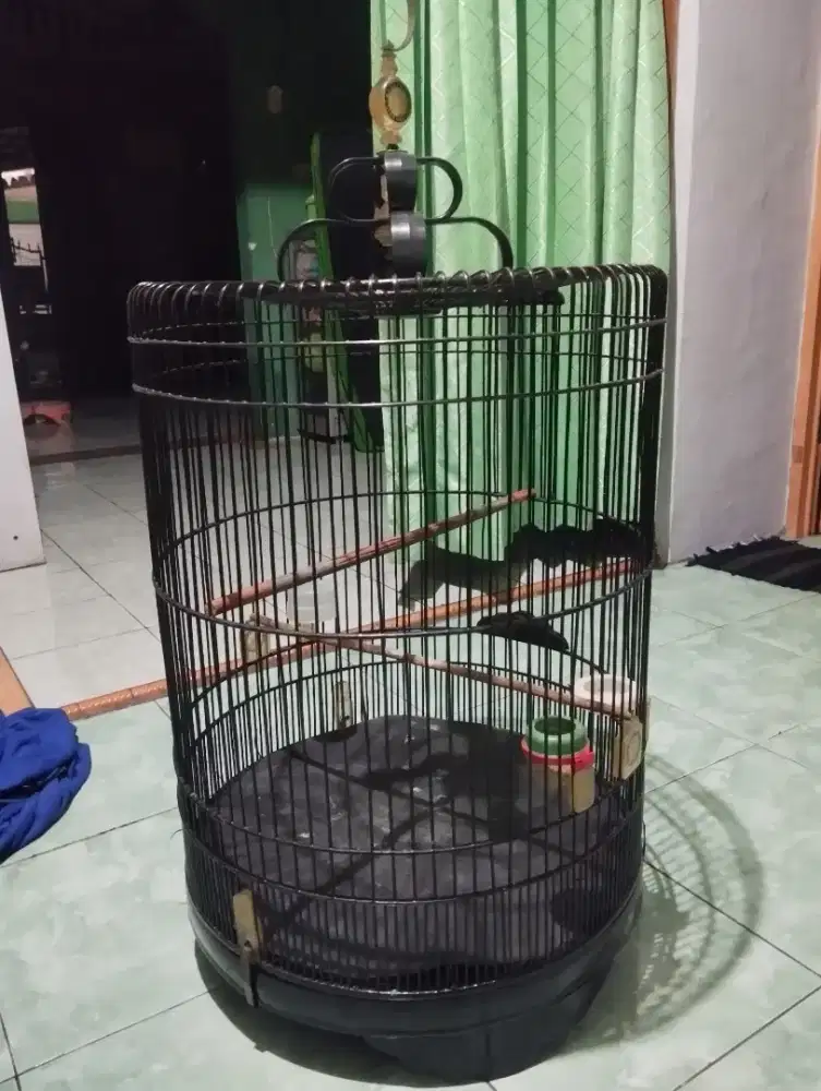 Kandang Murai No. 2
